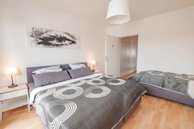 Deluxe Downtown Apartment
