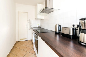 Deluxe Downtown Apartment