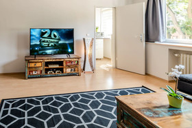 Deluxe Downtown Apartment