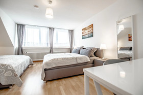 Deluxe Downtown Apartment
