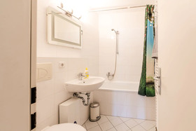 Deluxe Downtown Apartment