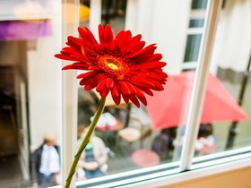 La Residenza Altstadt ApartHotel