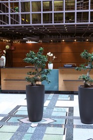 Lindner Hotel Düsseldorf Seestern