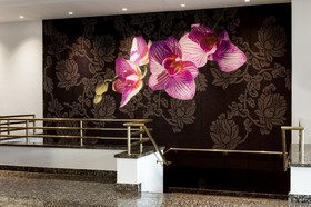 Mercure Hotel Duesseldorf Kaarst
