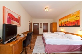 Hotel Palm Premium