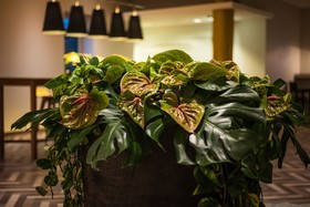 Sheraton Düsseldorf Airport Hotel