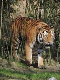 Mercure Hotel Duisburg City