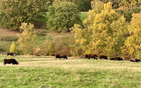 Besotel Ferienwohnungen Und Apartments Erkrath