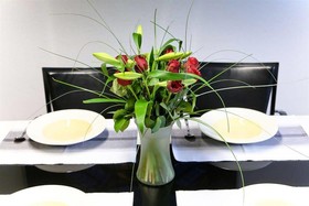 Suite-Apartment