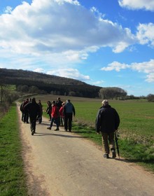 Havergoh Wander- & Fahrrad-Hotel