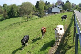 Pension Oberberg