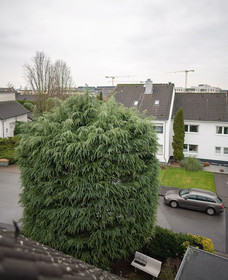 Business Apartments Ost