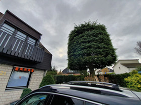 Business Apartments Ost