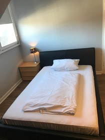Berliner Hof