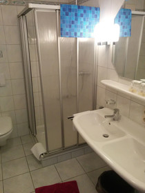 Seemöwe