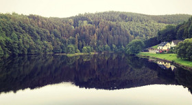 Seemöwe