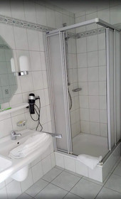 Seemöwe