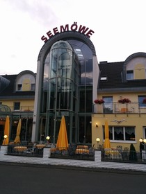 Seemöwe