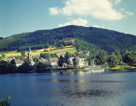 Seemöwe