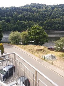 Seemöwe