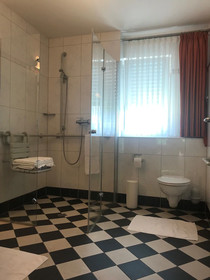 Seemöwe