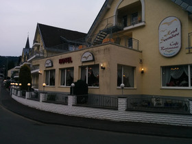 Seemöwe