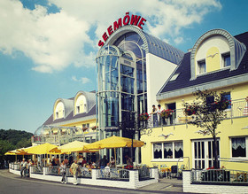 Seemöwe