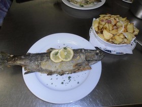 Schadde
