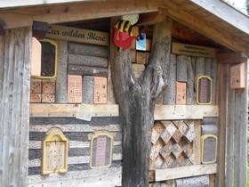 Schadde