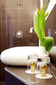 Hotel Amical