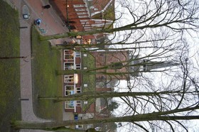 Twardokus