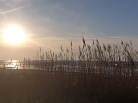 Ferienhaus Heimathafen