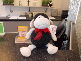 Stadt-gut-Hotel Großer Kurfürst