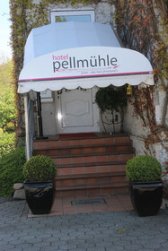 Pellmühle
