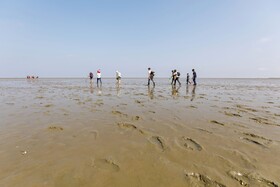 Center Parcs Park Nordseeküste - Hotel