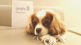 Nymphe Strandhotel & Apartments