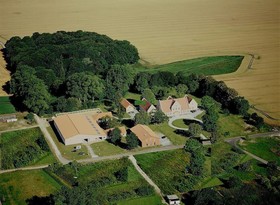 Gut Tribbevitz