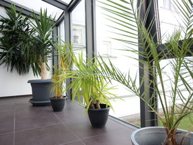 Parkhotel Putbus International