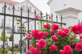 Parkhotel Putbus International