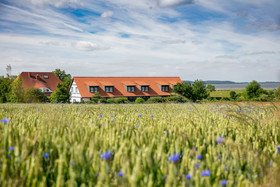 Hotel Der Wilde Schwan