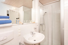 Hotel Der Wilde Schwan