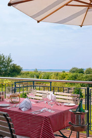Hotel Der Wilde Schwan