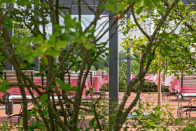 Hotel Der Wilde Schwan