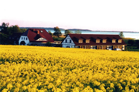 Hotel Der Wilde Schwan