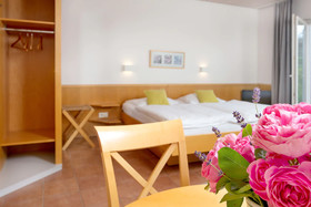 Hotel Der Wilde Schwan