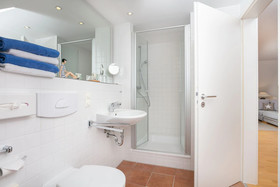 Hotel Der Wilde Schwan
