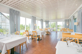 Hotel Der Wilde Schwan