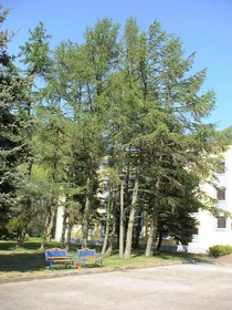 Hotel Mukran