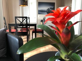 Sehnsucht Rügen Appartements