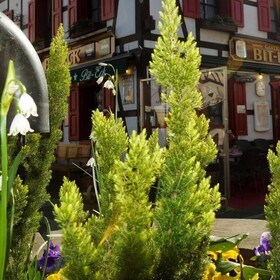 Gasthaus Bit-Eck